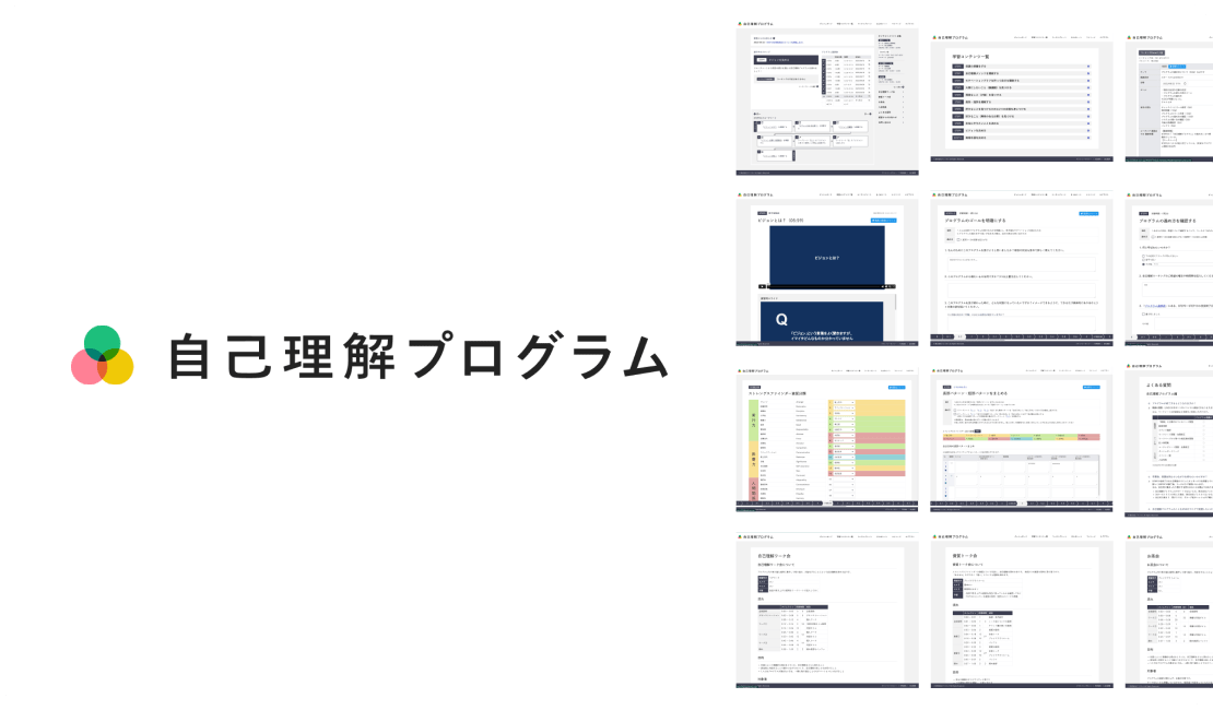 自己理解プログラム | 開発実績 | 株式会社ラジコード